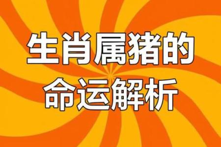 1971年属猪2025年运势详解全年运程大揭秘