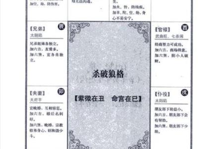 2025年4月9日戌时男命紫微斗数全解盘