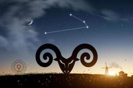 白羊座男生2025年运势