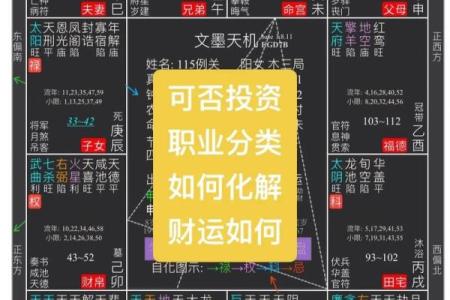 2025年4月5日申时男命紫微斗数全解盘