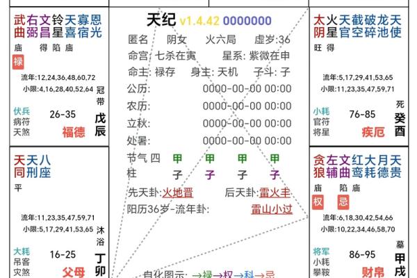 2025年4月17日戌时男命紫微斗数全解盘