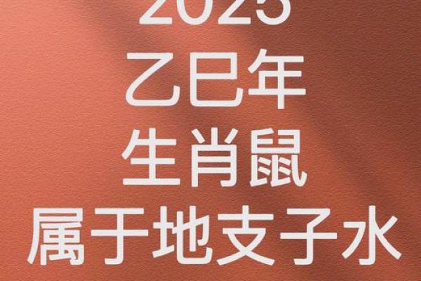 2025年属鼠的运势怎么样