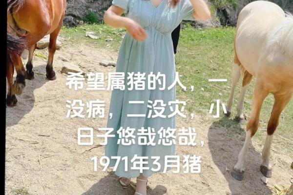 71年属猪人54岁最难熬 71年属猪人54岁最难熬是真的吗