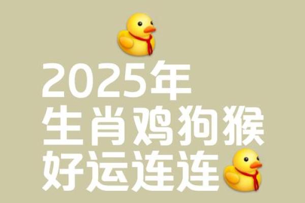 2025年属鸡人的全年运势女性 2025年属鸡女性全年运势详解事业财运爱情全解析