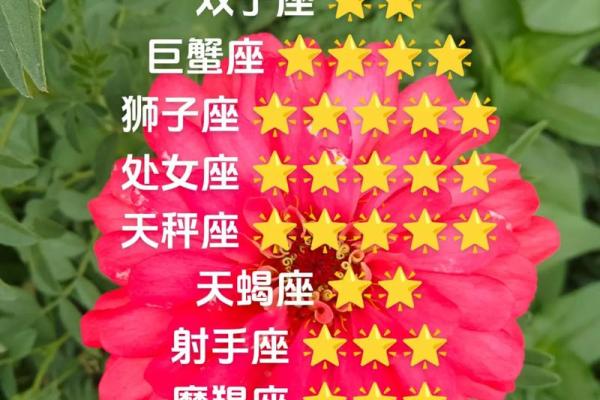 白羊座财运方向在哪里