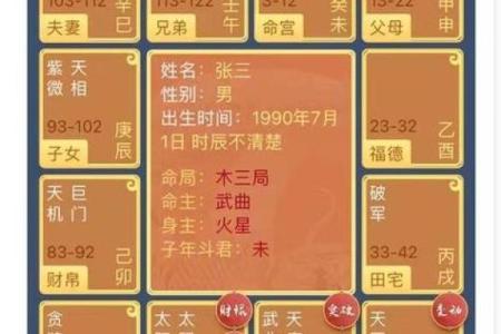 2025年4月29日亥时男命紫微斗数全解盘