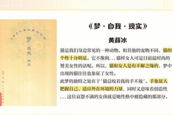 做梦梦见猫是好事还是坏事