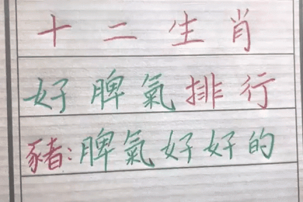 不伤脾胃是什么生肖