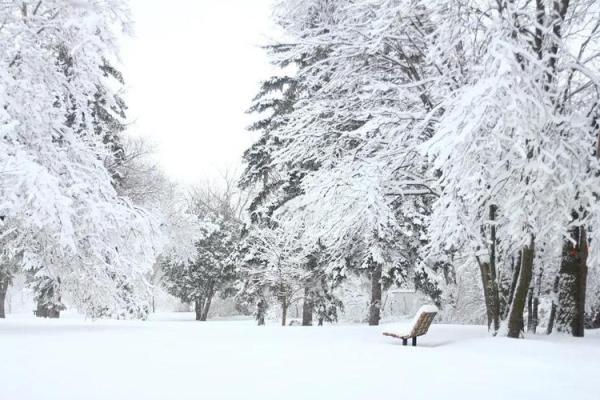 男人梦见下雪了周公解梦