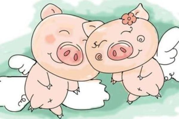 属龙女与属猪男婚配缘分天定还是性格不合