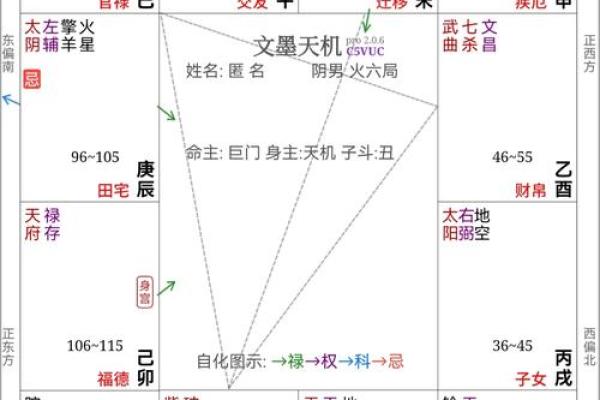 2025年4月21日丑时女命紫微斗数全解盘