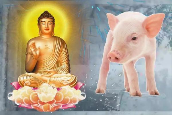 83年属猪人2026年全年运势及运程 83年猪最难熬的一年