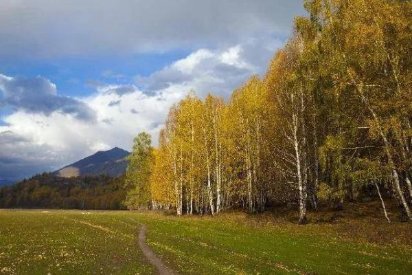 “闷声不响”打一准确生肖，闷声不响是什么生肖答案解释释义落实