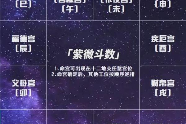 2025年4月2日卯时女命紫微斗数全解盘