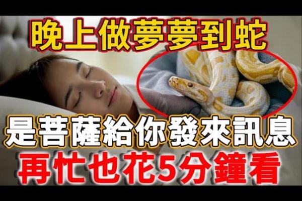 梦见把蛇砍成好几段