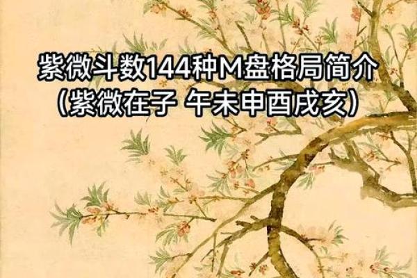 2025年4月24日丑时男命紫微斗数全解盘