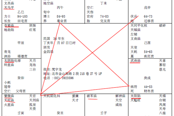 2025年4月23日巳时男命紫微斗数全解盘
