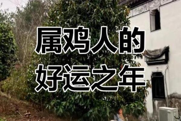 属鸡人2025年蛇年全年运势_属鸡之人2025年运势及运程