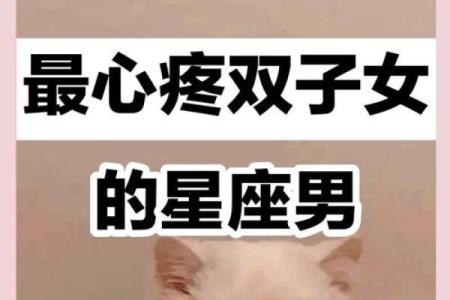 双子女把心给了哪个星座(双子女心狠吗)