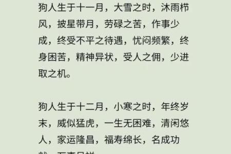 属狗的今年多大了_属狗的人今年多大2023年属狗年龄查询指南