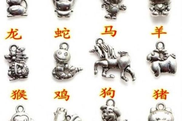 五光十色指什么生肖