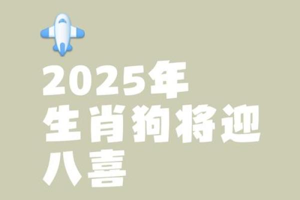 属狗女今天打牌的运气_2025属狗要小心一个人