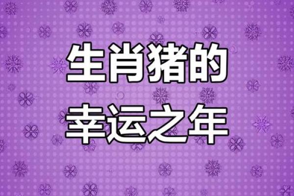 2025年属猪人每月运势及运程 2025属猪血光之灾