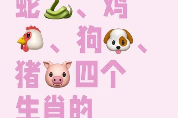 “头撞南墙”是什么生肖动物，头撞南墙最佳生肖答案解释释义落实