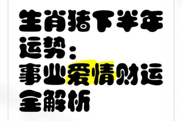 2025年生肖猪运程详解财运事业感情全面解析