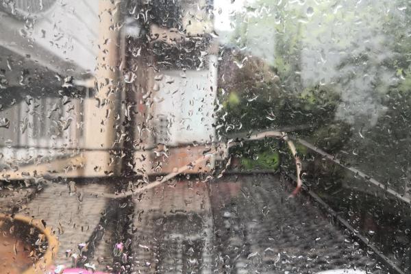 “阴雨绵绵冻死狗”是什么生肖，阴雨绵绵是什么生肖答案解释释义落实