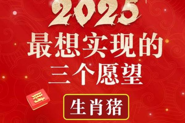 2025年属猪多大_2025年属猪人年龄详解属猪的你多大