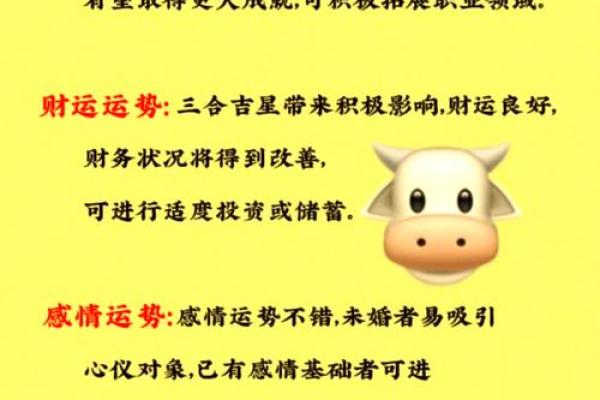 2025年属羊的几岁_属牛几岁2025