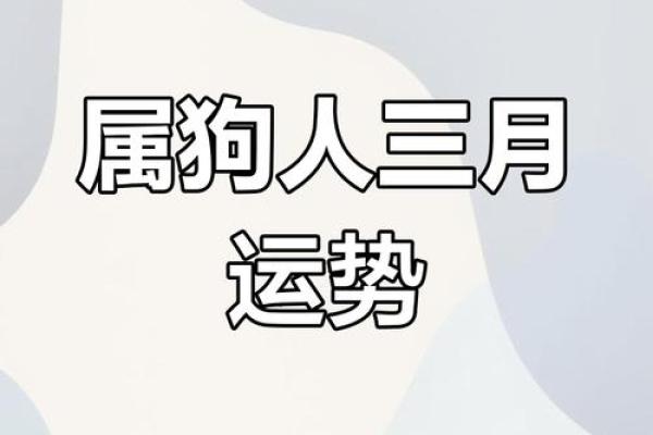 属狗的今天运势和财运 属狗今日运势与财运解析好运连连财运亨通