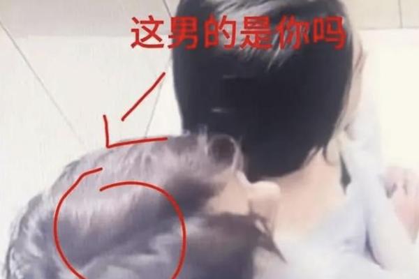 梦见猫咪和自己很亲热