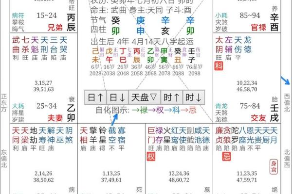 2025年4月19日巳时男命紫微斗数全解盘