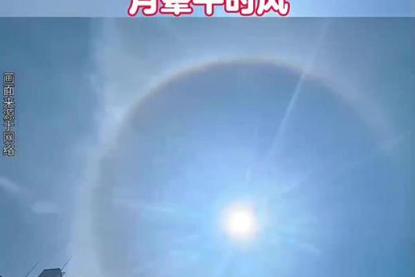 月晕主风是什么生肖(月晕意思)