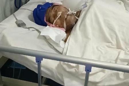 梦见父亲生病很严重