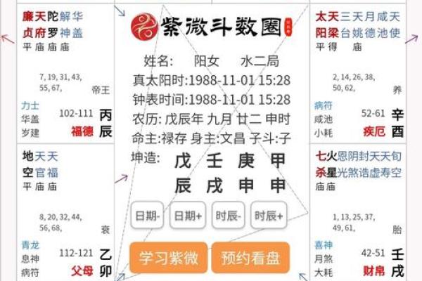 2025年4月16日申时女命紫微斗数全解盘 2025年4月16日申时女命紫微斗数全解盘