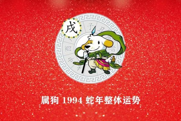 1994年属狗2025年运势详解事业财运与健康运程全解析