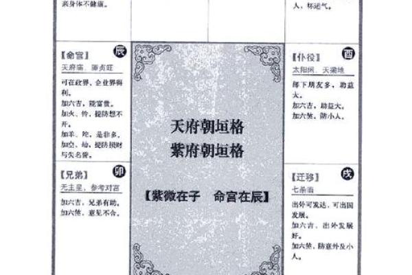 2025年4月7日未时女命紫微斗数全解盘