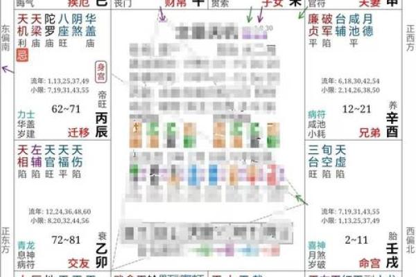 2025年4月20日卯时女命紫微斗数全解盘