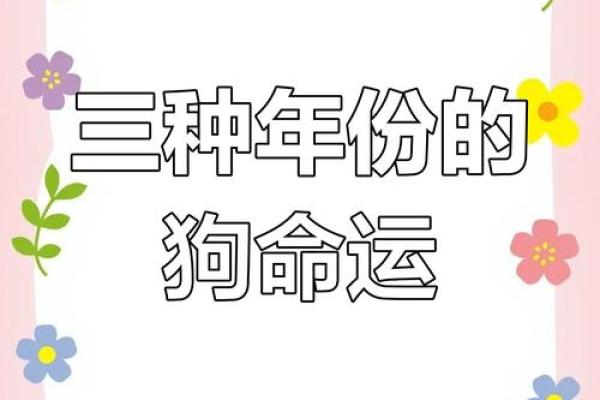 58年的狗是什么命五行属什么呢_58年的狗属于什么命