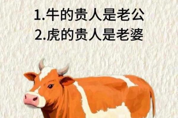 “救命稻草”是代表哪个生肖，救命稻草是什么生肖答案解释释义落实