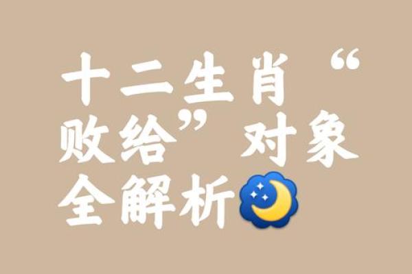 “一息尚存”打一正确的生肖，一息尚存打一生肖答案解释释义落实