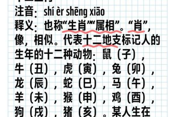 屡战屡败代表什么生肖