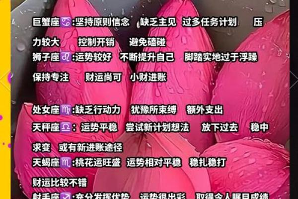 12星座每天的运势_12星座每天运势运程
