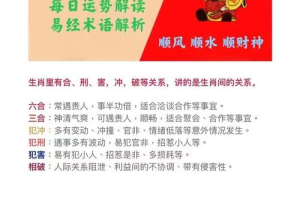 “九天之外”打一正确的生肖，九天之外指什么生肖答案解释释义落实