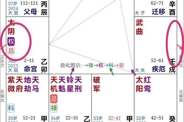 2025年4月3日未时男命紫微斗数全解盘