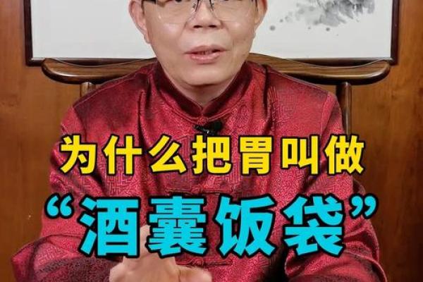 “酒囊饭袋”打一正确的生肖，酒囊饭袋代表什么生肖答案解释释义落实