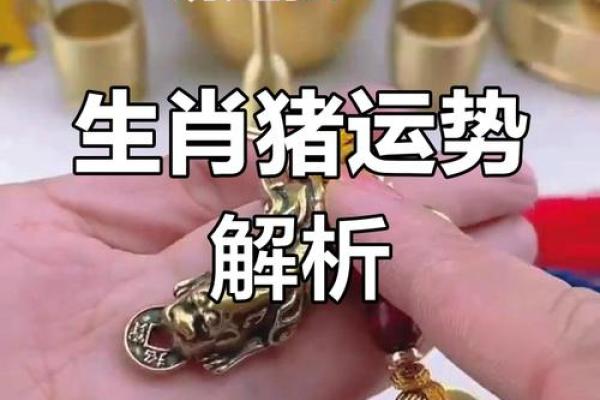 2025年83年男猪运势_1983年属猪2023年运势每月运势男